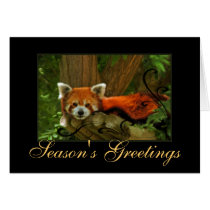 Red Panda Nature Seasons Greetings Holiday Card
