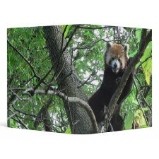 Red Panda Notebook Binder binder