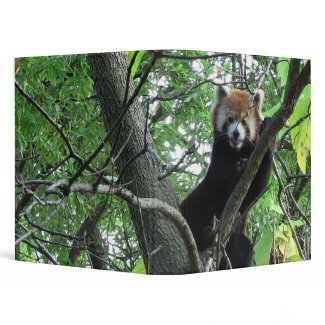 Red Panda Notebook Binder binder