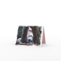 Red Panda notecard: "Where you been? I miss you!" by alyciakeating Red Panda notecard: "Where you been? I miss you!"