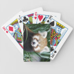 panda playing cards