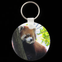 Red Panda Portrait keychains by Veronica_Schultz Red Panda Portrait keychains