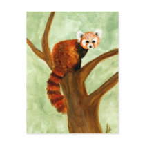 Red Panda Postcard