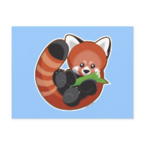 Red Panda Postcard