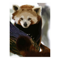 Red Panda posters