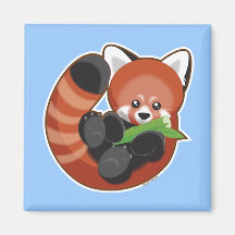 Red Panda Refrigerator Magnets