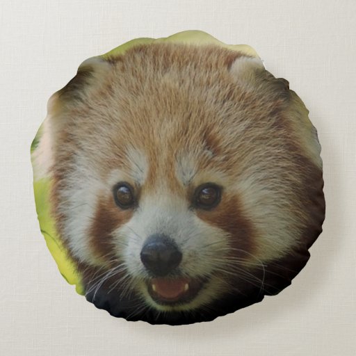 red panda pillow