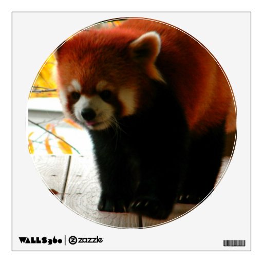 Red Panda Round Wall Decal Zazzle