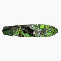 Red Panda Skateboard skateboards