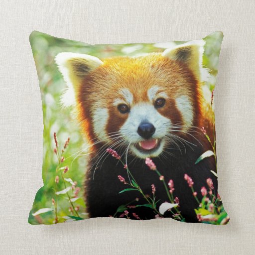 Red Panda Throw Pillow | Zazzle