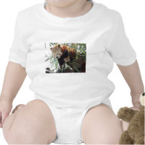 Red Panda t-shirts by thekingchivas Red Panda t-shirts