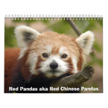 Red Pandas Calendar