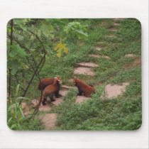 Red Pandas in Chengdu, China Mouse Mats