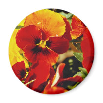 Red Pansies flowers Magnets