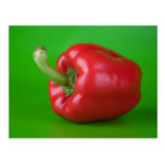 red paprika postcard