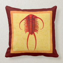 Red Paraceraurus Fossil Trilobite pillows