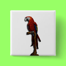Red Parrot alone button buttons