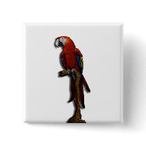 Red Parrot alone button