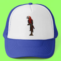 Red Parrot alone hat hats