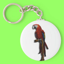 Red Parrot alone keychain keychains