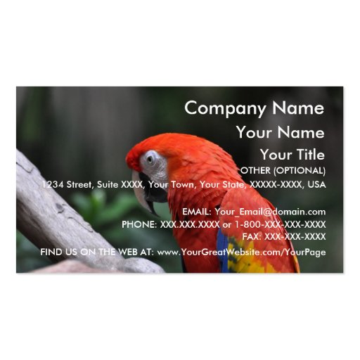 Red Parrot - business card template (front side)