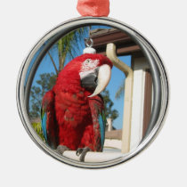 Red Parrot Ornament ornaments