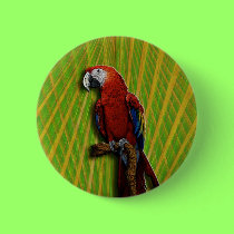 Red Parrot & Palms button buttons