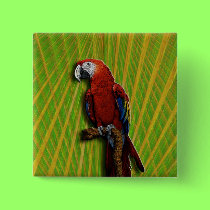 Red Parrot & Palms button buttons