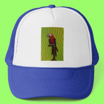 Red Parrot & Palms hat