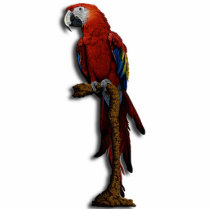 Red Parrot Photo Sculpture photo sculptures