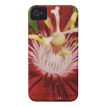 Red Passion Flower iPhone Case casemate cases