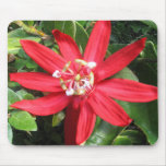 Red Passion Flower Mousepad