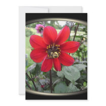 red passion invitations