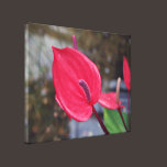 Red Peace Lilies Stretched Canvas Print canvas prints