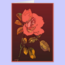 red peach rose cards