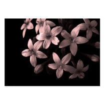 red pentas business cards by dinatemraz red pentas business cards