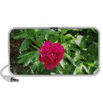 Red Peony Doodle Speaker