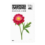 Red Peony Garden Flower Postage