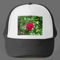 Red Peony hats