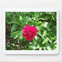 Red Peony mousepads
