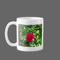 Red Peony mugs