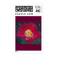 Red Peony Stamps
