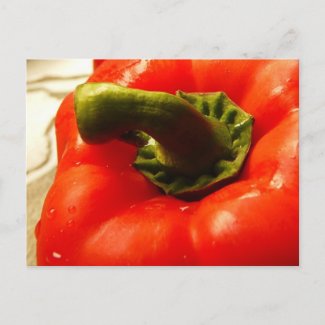 Red Pepper - Ready to Eat! postcard