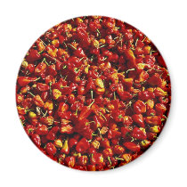 Red peppers, Myanmar Magnet