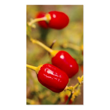 Red Peppers - Pocket calendar Business Card Template