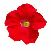 Red Petunia Acrylic Cut Out