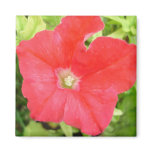 Red Petunia Flower Magnet