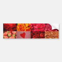 Red Photography Collage Bumper Sticker