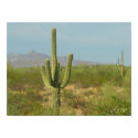 Red Picacho 408 posters by RawArtWork Red Picacho 408 posters