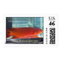 Red Pike Cichlid postage by oscar_azac Red Pike Cichlid postage